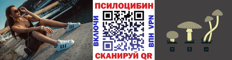 Купить  Красный Сулин  Галлюциногенные грибы мухоморы 